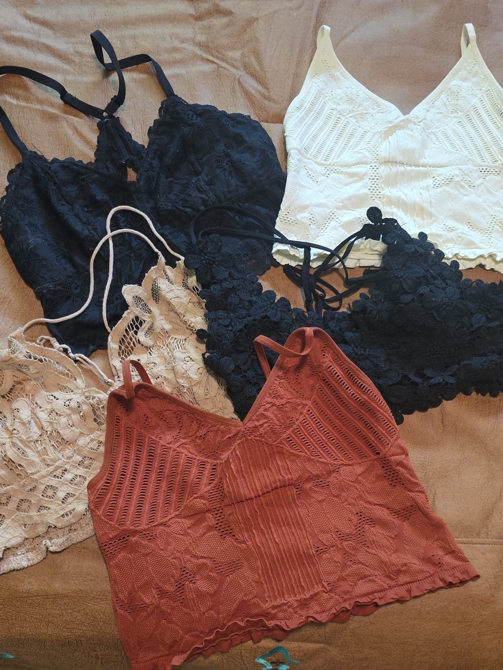 Free People Lace Bralette Set - Black, White, Rust, Cream